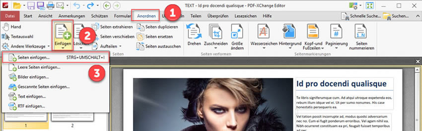 PDF-XChange Editor 